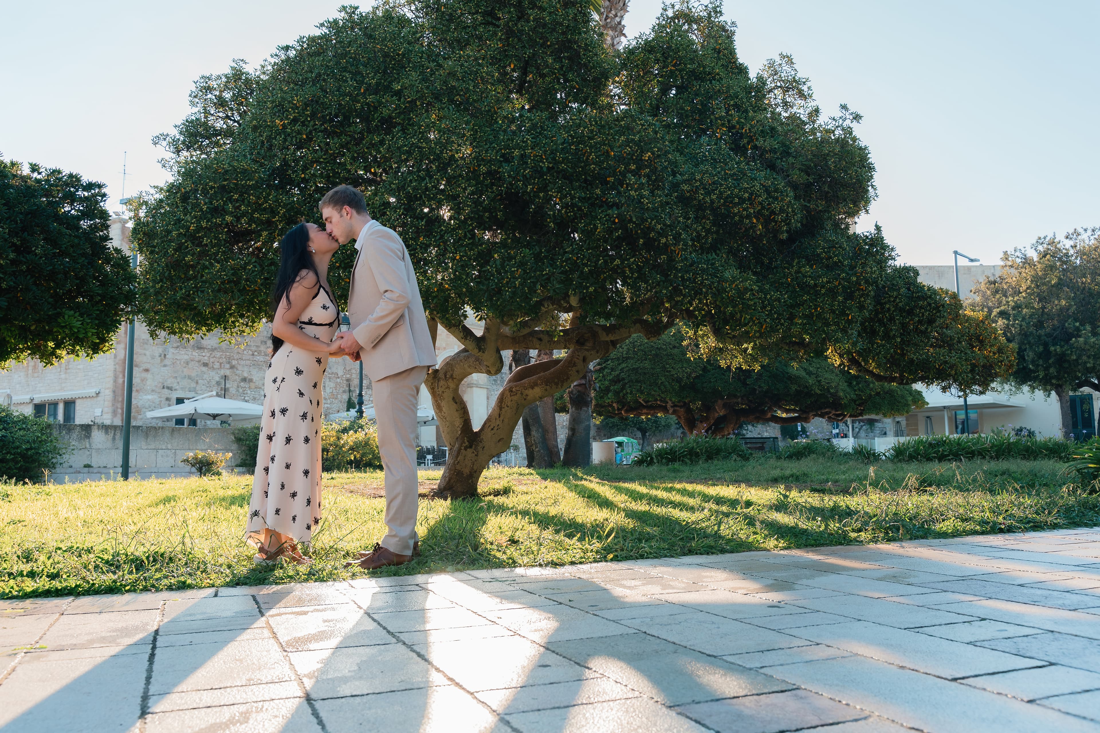 Un bacio sotto un vecchio albero
